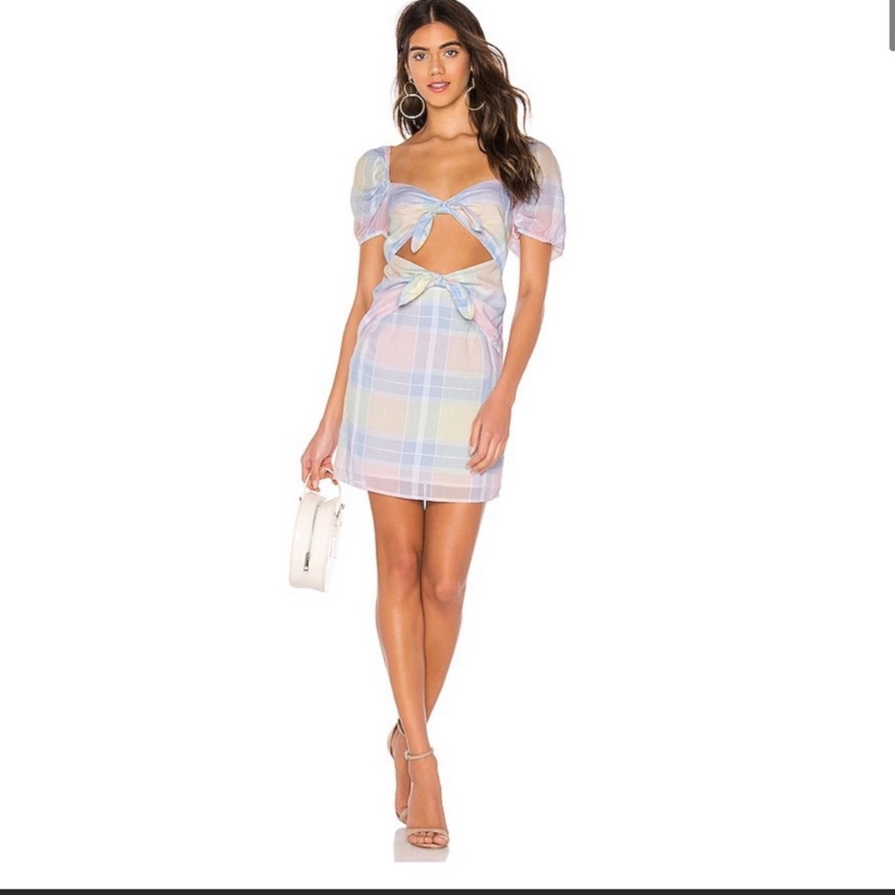 Lovers + friends Corbin mini dress